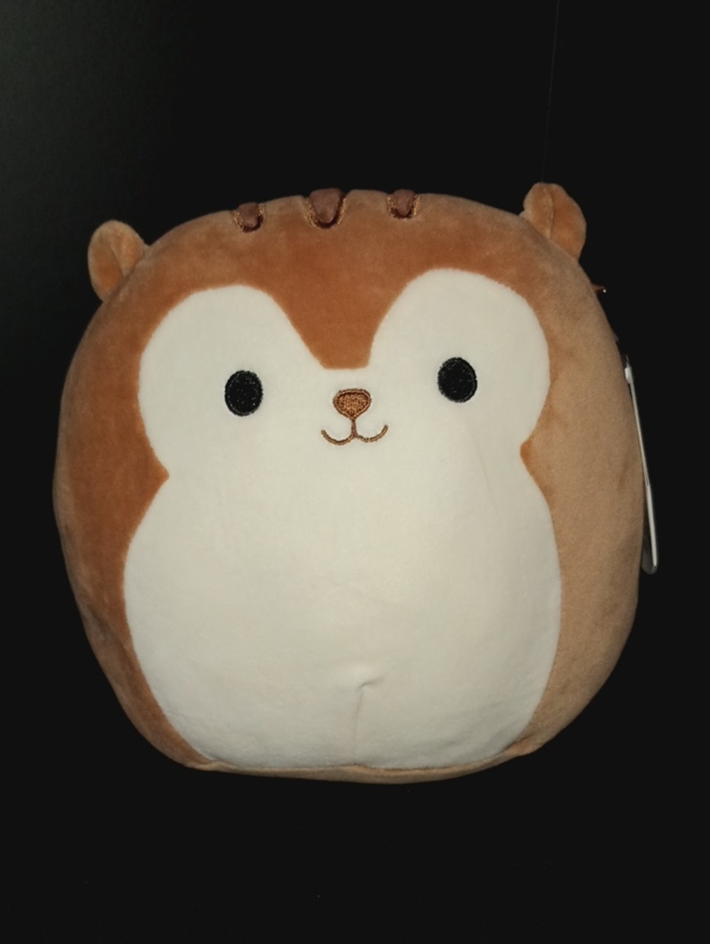 Squishmallows 8" Sawyer The Brown Squirrel (NWT)